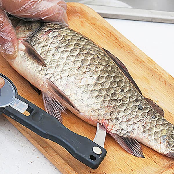 Racloir pratique pour écailles de poisson  – Image 2