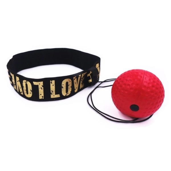 Balles de boxe – Image 6