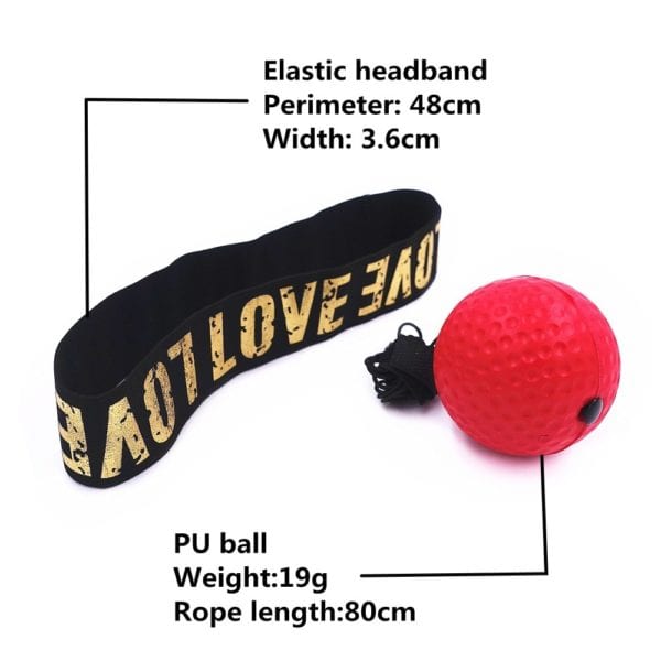 Balles de boxe – Image 3
